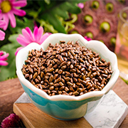 决明子茶